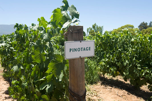 The Chill Story Behind Pinotage: A Wine Lovechild with a Groovy History