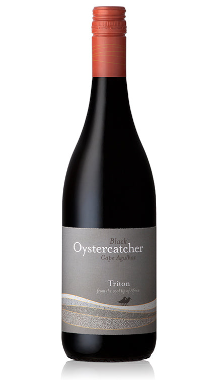 Black Oystercatcher Triton 2020
